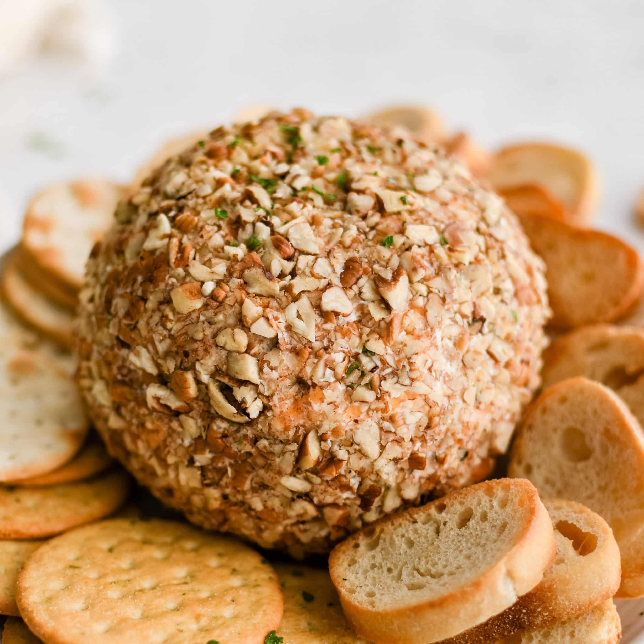 Classic cheese ball coated in chopped pecans and garnished with fresh parsley on a plate and served with various types of crackers and crostini.