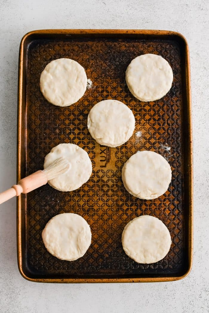 Brushing buttermilk on the tops of uncooked buttermilk biscuits placed on a large baking sheet.