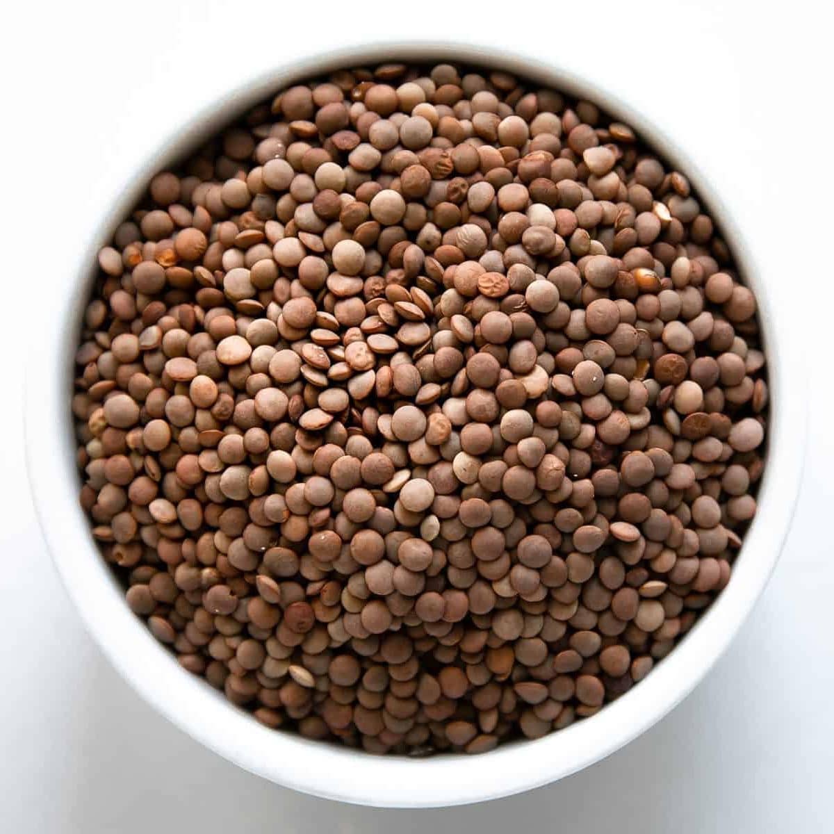 White bowl filled with dried brown lentils.