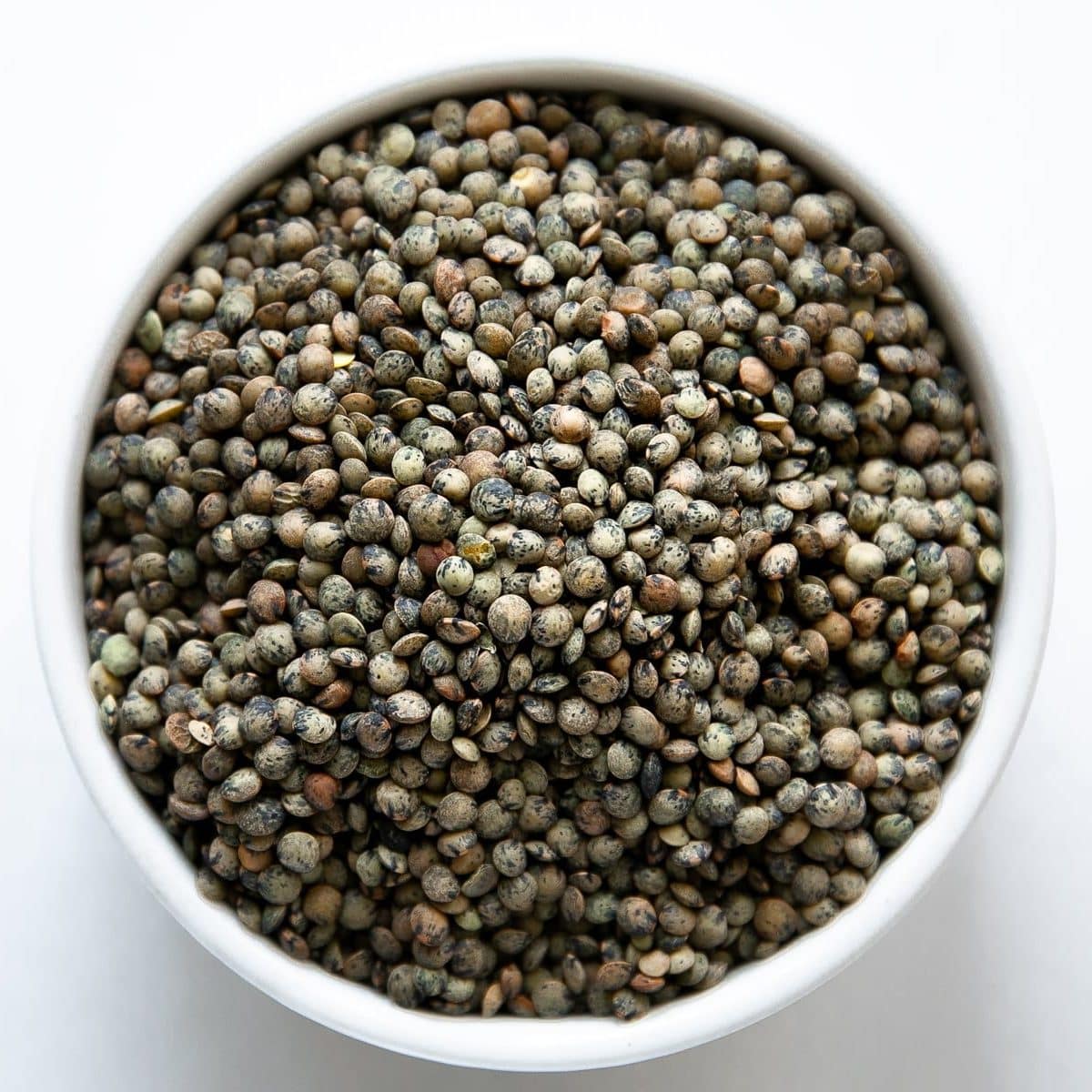White bowl filled with dried French (Puy) lentils.
