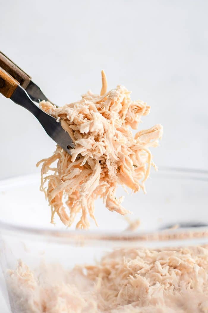 Large forkful of shredded cooked chicken breast hovering above a glass dish filled with additional shredded chicken breast.