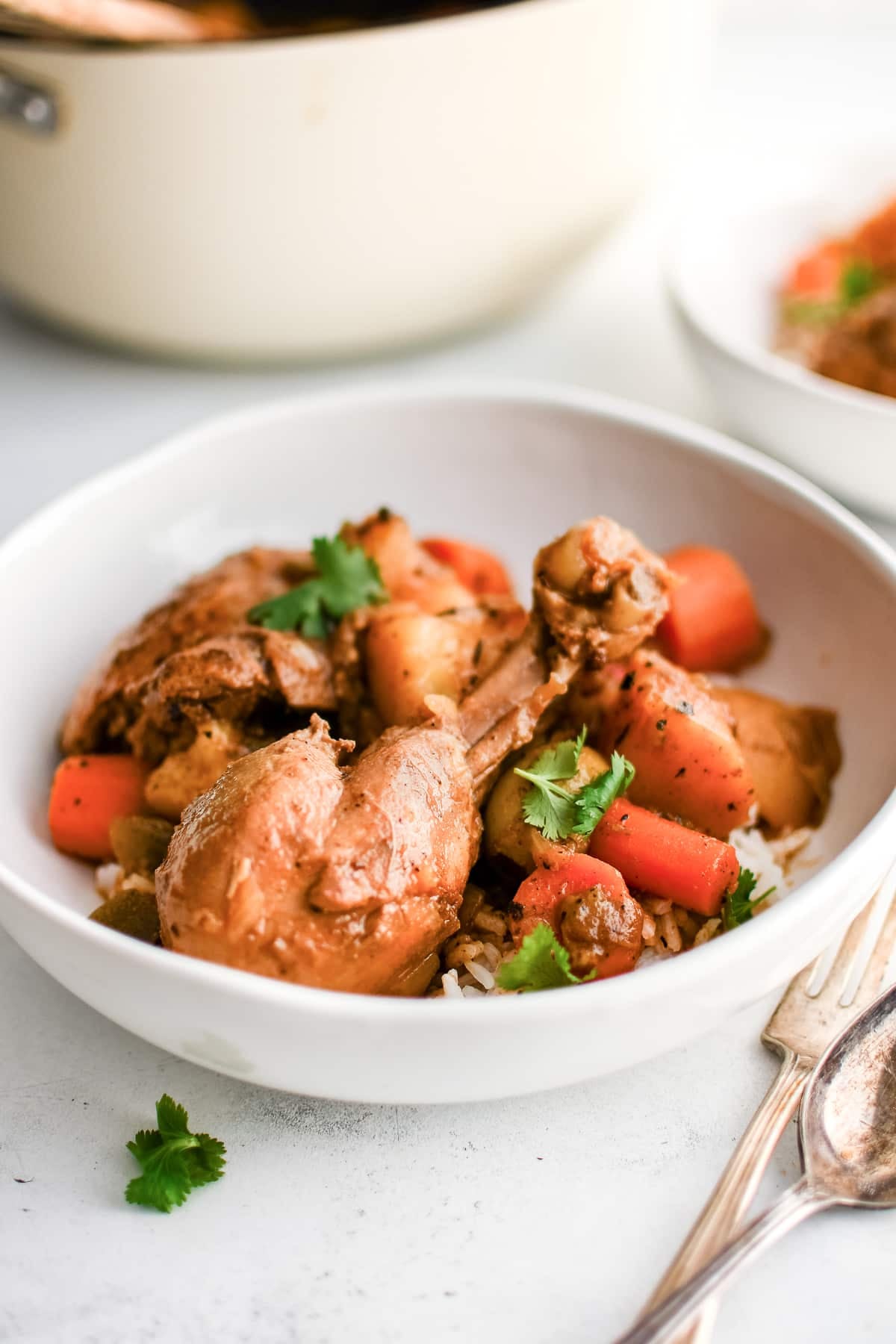 A white bowl filled with Puerto Rican Pollo Guisado served over a scoop of fluffy white rice, garnished with cilantro.