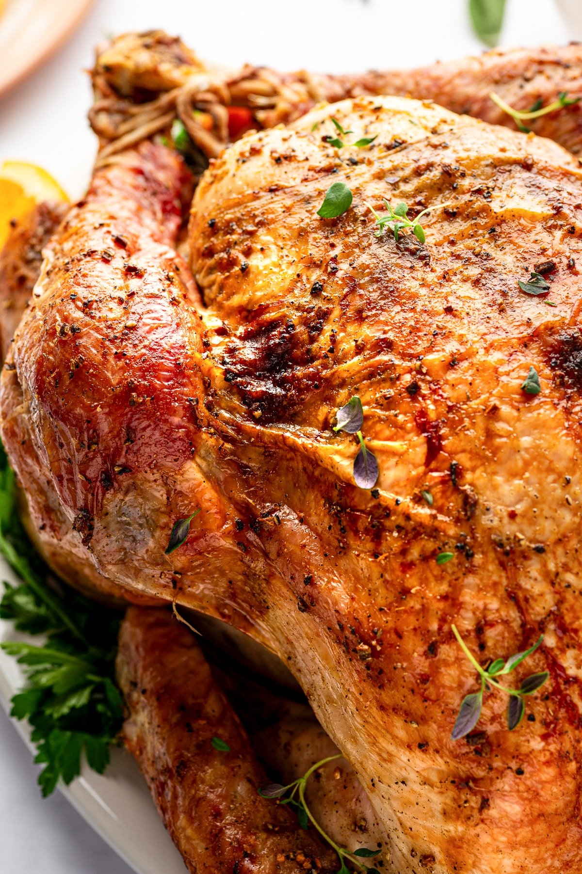 Close-up of juicy whole roasted turkey with crispy skin.