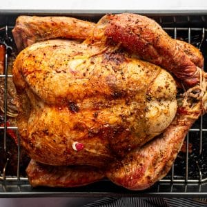 Perfectly roasted Thanksgiving turkey with crispy golden skin on roasting rack.