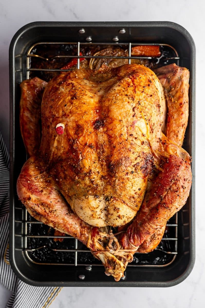 Perfectly roasted Thanksgiving turkey with crispy golden skin on roasting rack.