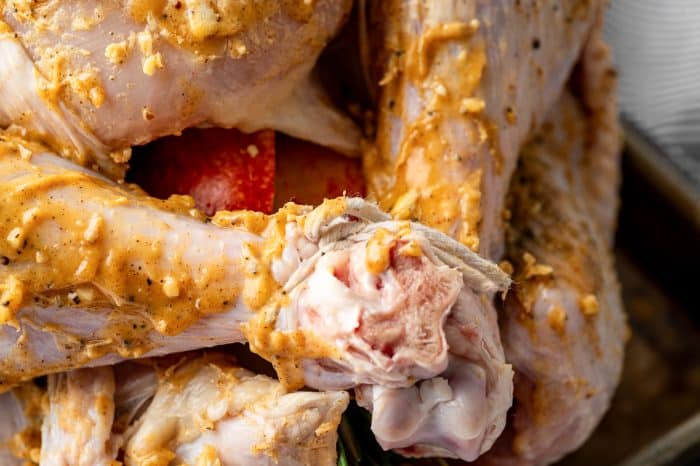 Turkey Before The Best Thanksgiving Turkey Recipe