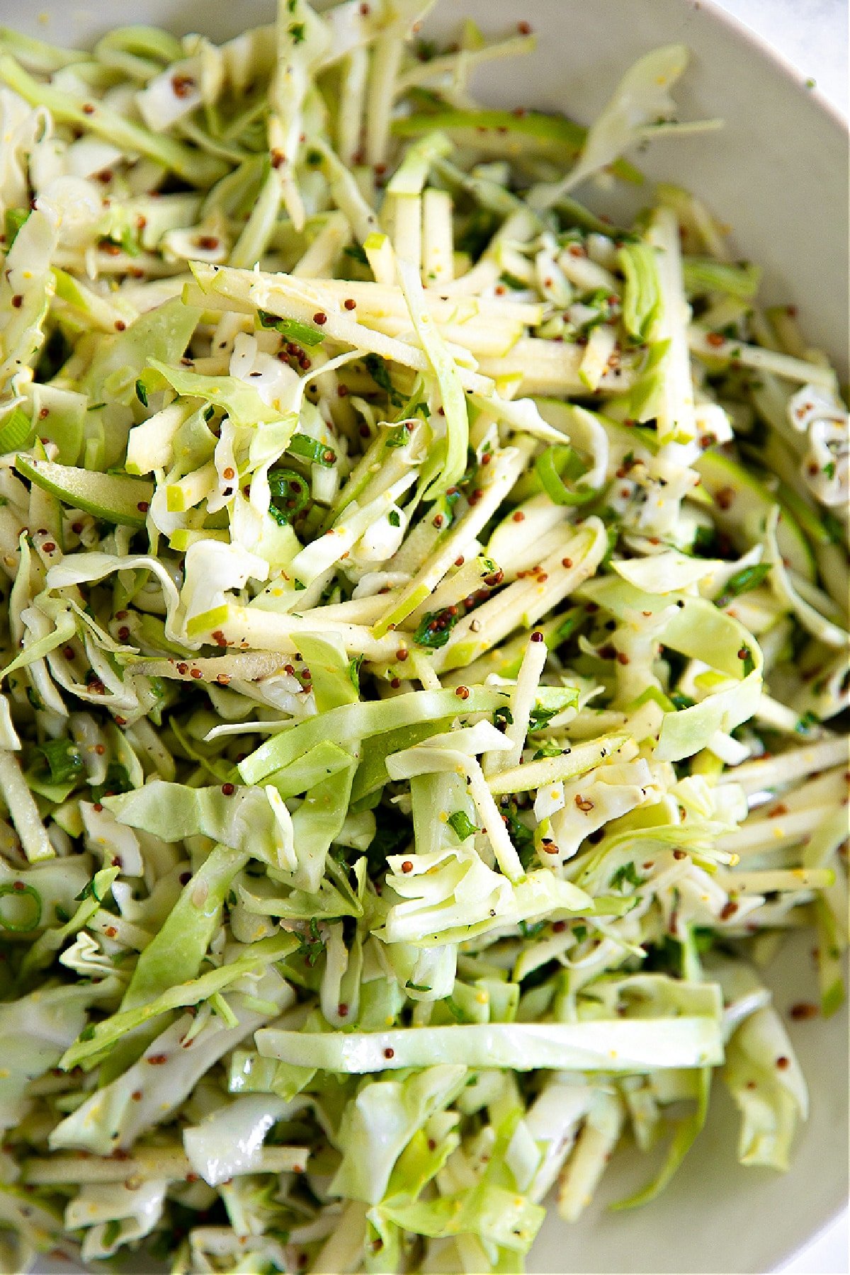 Close-up of apple slaw with thinly sliced cabbage, green apples, and whole grain mustard vinaigrette.