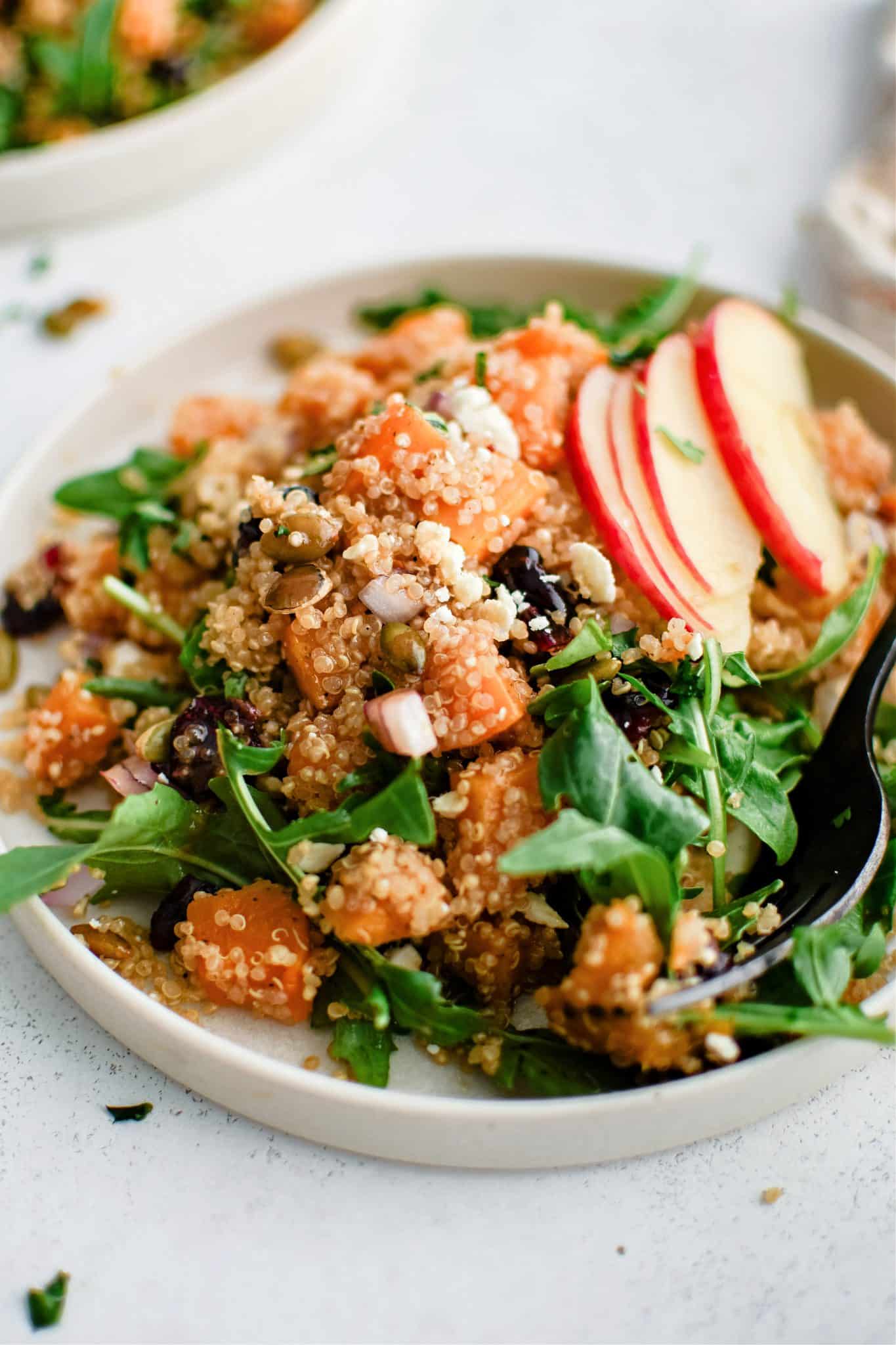 Close-up of butternut squash quinoa salad with arugula, dried cranberries, pumpkin seeds, and sliced apples on a white plate.