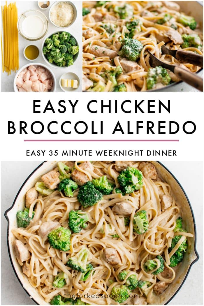 Vertical Pinterest-style collage image for easy chicken broccoli Alfredo. The top left section shows an overhead ingredient shot with uncooked fettuccine, heavy cream, grated Parmesan, broccoli florets, olive oil, chopped raw chicken, and butter arranged on a light surface. The top right section shows a close-up of creamy chicken broccoli Alfredo in a skillet with wooden tongs. The bottom half shows an overhead image of the finished pasta in a white skillet with pale green handles, mixed with bite-sized chicken and bright green broccoli florets. Large black text reads “EASY CHICKEN BROCCOLI ALFREDO” and smaller black text reads “EASY 35 MINUTE WEEKNIGHT DINNER.” Theforkedspoon.com appears at the bottom. There are no text overlays on the food itself.