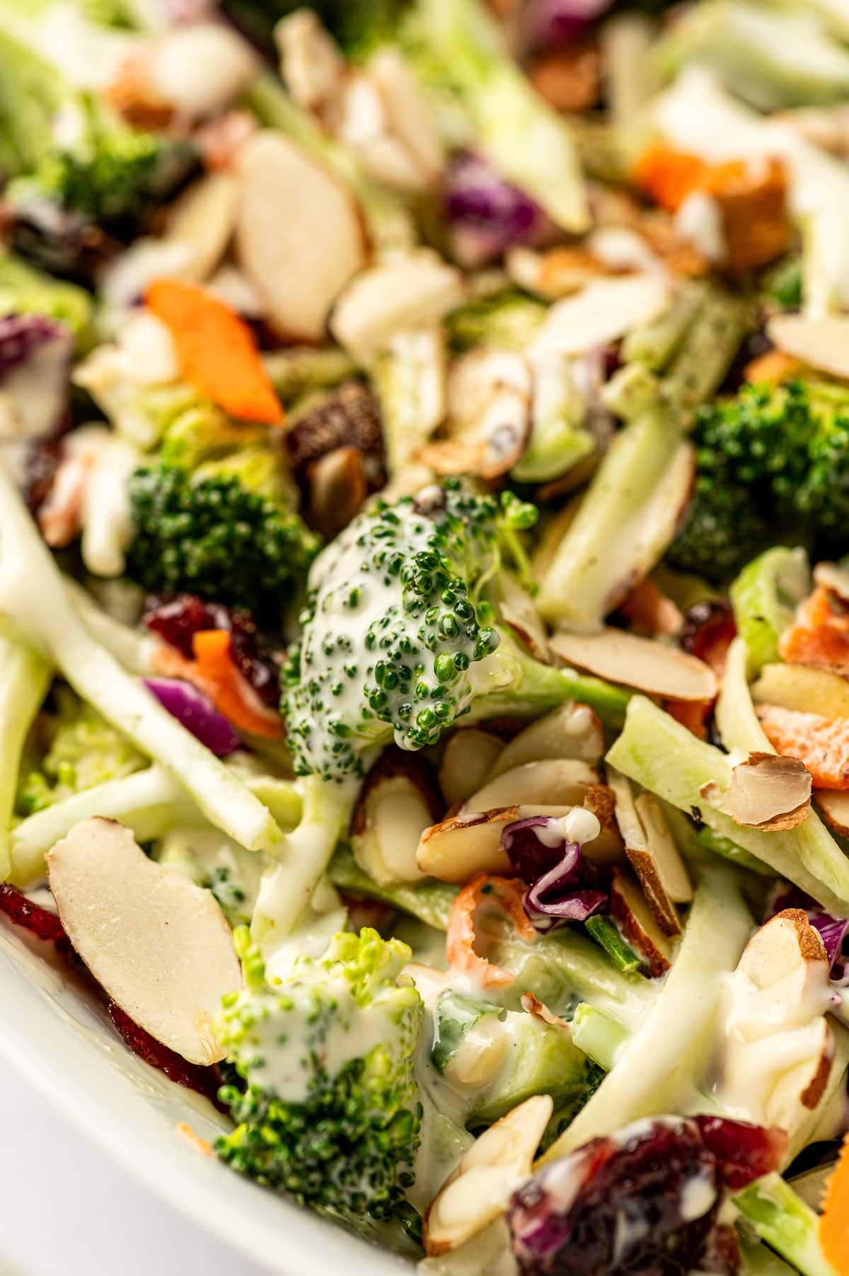 Macro close-up of broccoli slaw with fresh broccoli florets, thin broccoli stems, sliced almonds, dried cranberries, shredded carrots, red cabbage, and creamy dressing.