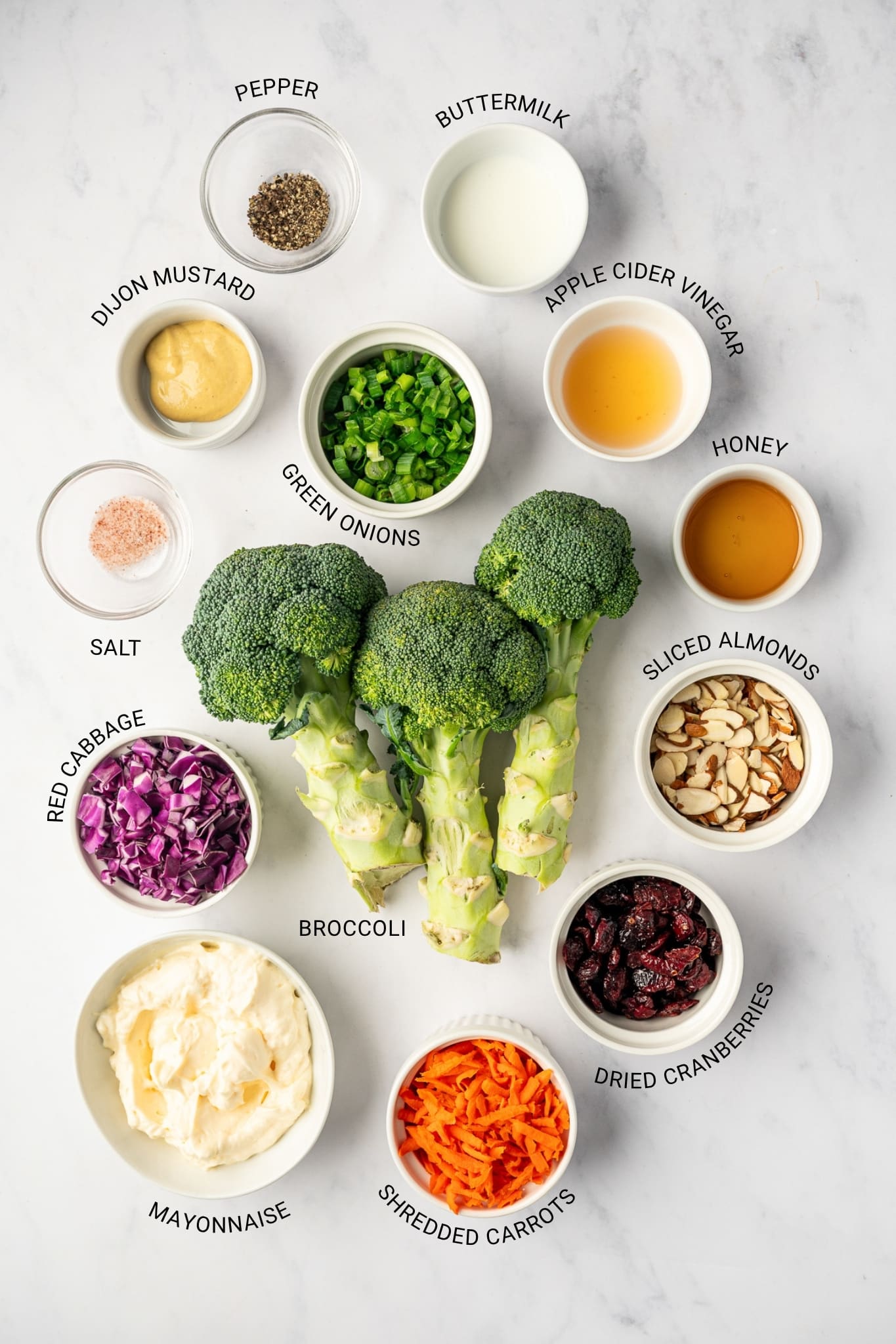 Overhead labeled ingredient photo for broccoli slaw showing broccoli, mayonnaise, shredded carrots, dried cranberries, sliced almonds, honey, apple cider vinegar, buttermilk, green onions, pepper, Dijon mustard, salt, and red cabbage on a white marble surface.