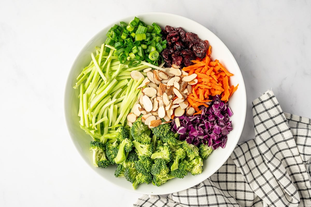 Fresh broccoli slaw ingredients arranged in a large white oval bowl, including broccoli florets, thin broccoli stem strips, green onions, dried cranberries, shredded carrots, red cabbage, and sliced almonds.