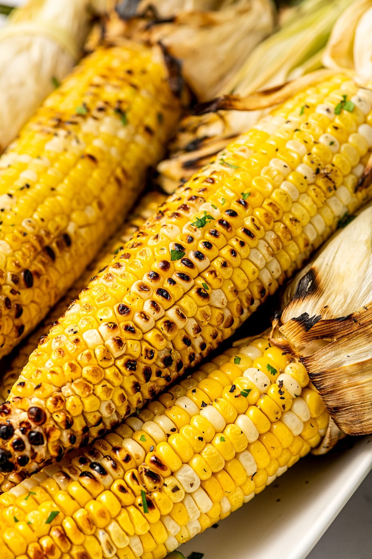 Close-up of grilled yellow and white corn kernels with light char marks, chopped green herbs, black pepper, and browned corn husks on a white platter.