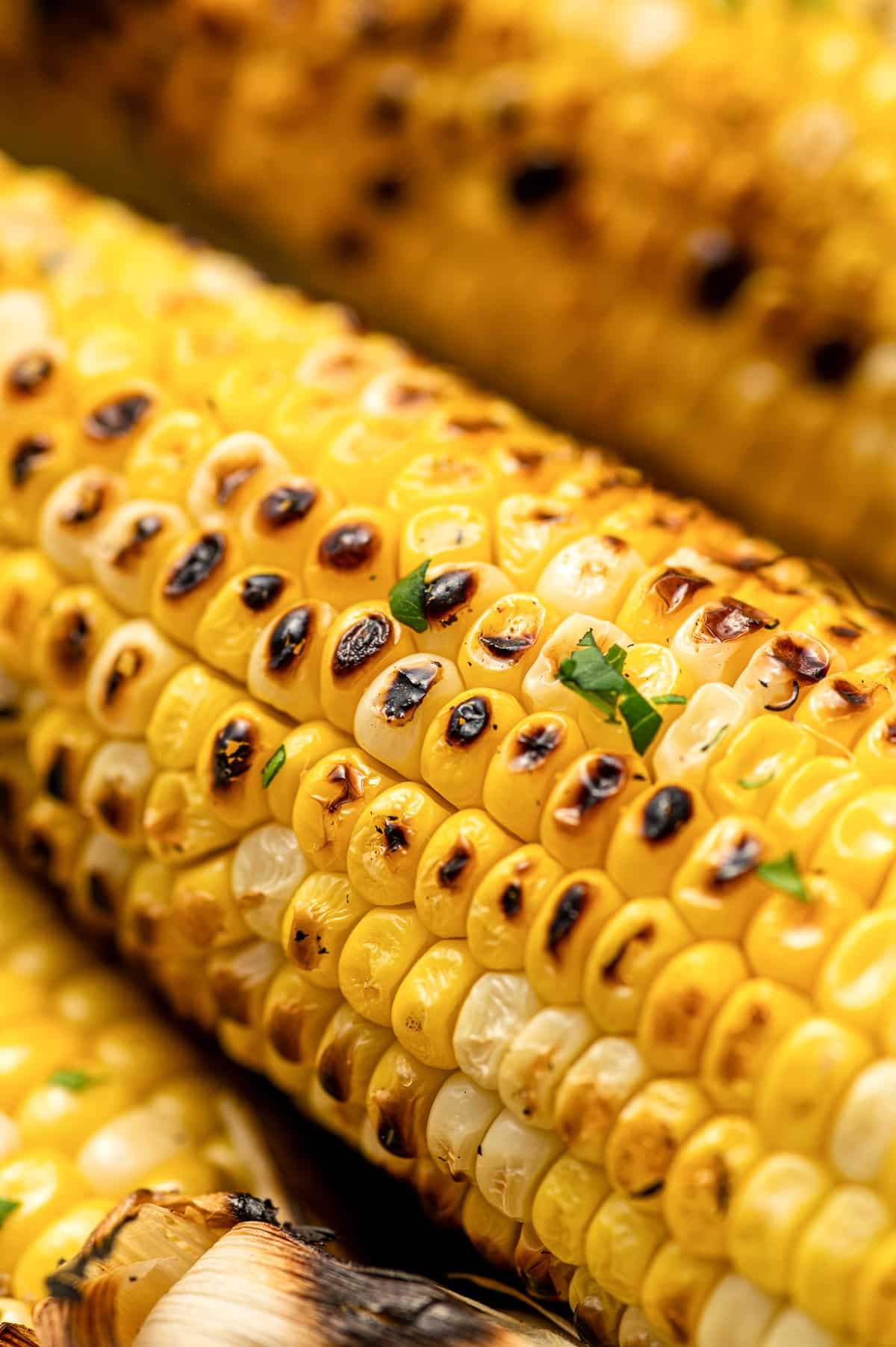 Extreme close-up of glossy grilled yellow corn kernels with dark char marks and small pieces of chopped green herbs.