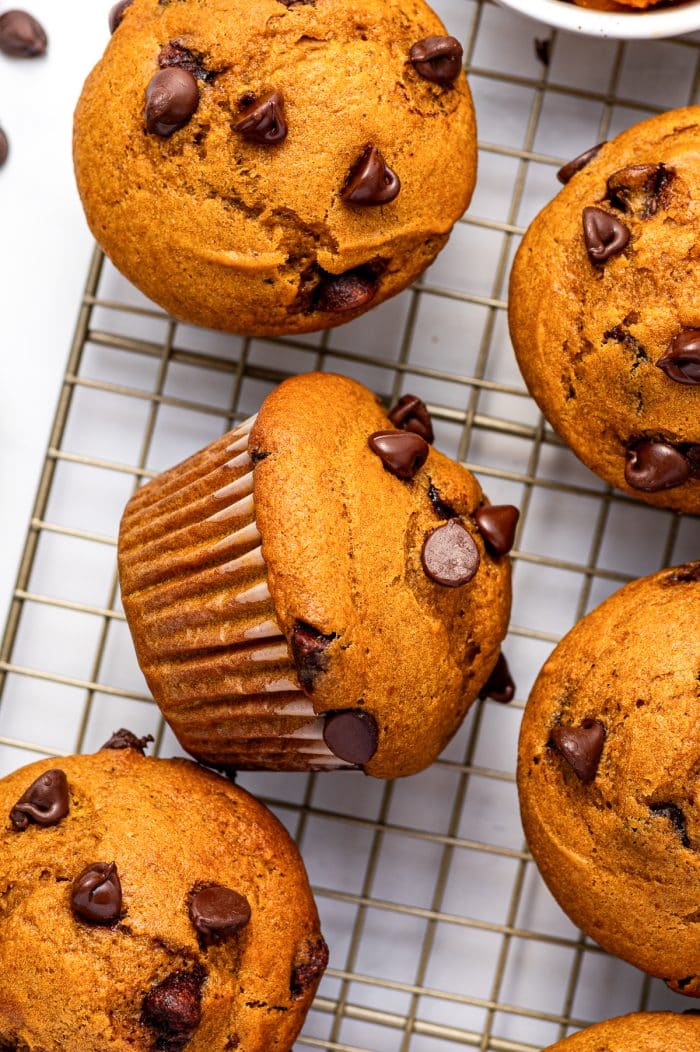 Several golden-orange pumpkin chocolate chip muffins cooling on a metal wire rack over a white surface, including one muffin resting on its side in a brown paper liner, with semi-sweet chocolate chips scattered across the muffin tops and surface.