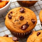 Vertical Pinterest image featuring a large close-up of a golden pumpkin chocolate chip muffin with a tall domed top and semi-sweet chocolate chips on a metal cooling rack, surrounded by additional muffins and a partially visible white bowl of orange pumpkin puree. A white text box at the top reads "Pumpkin Chocolate Chip Muffins," and "THEFORKEDSPOON.COM" appears along the bottom.